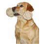 KERBL Zabawka dla psa z włóknem czyszczącym zęby 12x40cm [81454] - 3