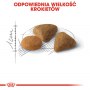 Royal Canin Savour Exigent karma sucha dla kotów dorosłych, wybrednych, kierujących się teksturą krokieta 2kg - 6