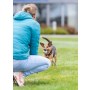 Trixie Piłka gumowa na sznurku 6/30cm [3454] - 4