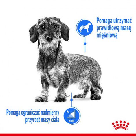 Royal Canin Mini Light Weight Care karma sucha dla psów dorosłych, ras małych z tendencją do nadwagi 8kg - 3