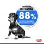 Royal Canin Mini Light Weight Care karma sucha dla psów dorosłych, ras małych z tendencją do nadwagi 8kg - 5