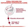 Royal Canin Medium Adult karma sucha dla psów dorosłych, ras średnich 15kg - 6
