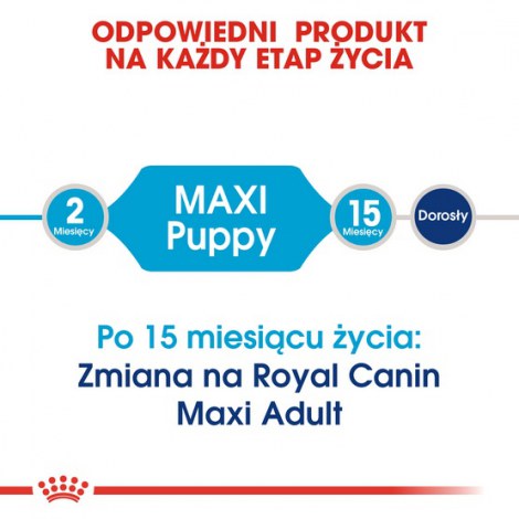 Royal Canin Maxi Puppy karma sucha dla szczeniąt, od 2 do 15 miesiąca życia, ras dużych 15kg - 4