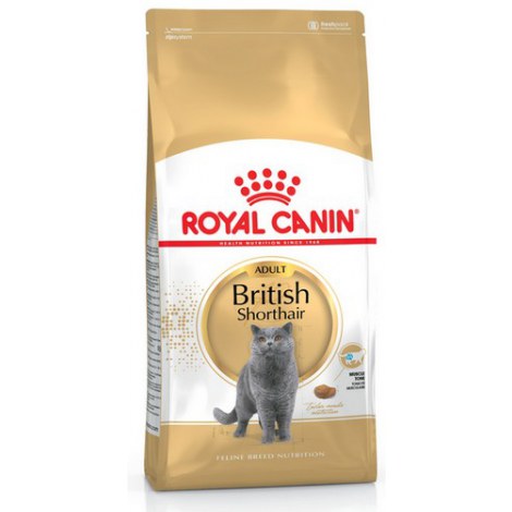 Royal Canin British Shorthair Adult karma sucha dla kotów dorosłych rasy brytyjski krótkowłosy 10kg - 2