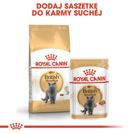 Royal Canin British Shorthair Adult karma sucha dla kotów dorosłych rasy brytyjski krótkowłosy 10kg - 5