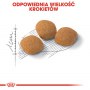 Royal Canin Exigent Protein Preference karma sucha dla kotów dorosłych, wybrednych, kierujących się białkiem 400g - 6
