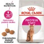 Royal Canin Exigent Protein Preference karma sucha dla kotów dorosłych, wybrednych, kierujących się białkiem 400g - 2