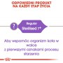 Royal Canin Sterilised 7+ karma sucha dla kotów dorosłych, od 7 do 12 roku życia, sterylizowanych 3,5kg - 5