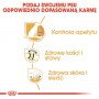Royal Canin Labrador Retriever Sterilised Adult karma sucha dla psów dorosłych labrador retriever, sterylizowanych 12kg - 6
