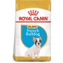 Royal Canin French Bulldog Puppy karma sucha dla szczeniąt do 12 miesiąca, rasy buldog francuski 3kg - 3