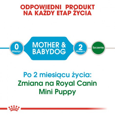 Royal Canin Mini Starter Mother&Babydog karma sucha dla szczeniąt do 2 miesiąca i suk karmiących ras małych 8,5kg - 4