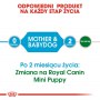 Royal Canin Mini Starter Mother&Babydog karma sucha dla szczeniąt do 2 miesiąca i suk karmiących ras małych 8,5kg - 5