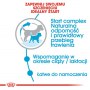 Royal Canin Mini Starter Mother&Babydog karma sucha dla szczeniąt do 2 miesiąca i suk karmiących ras małych 8,5kg - 6