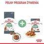 Royal Canin Digestive Care karma sucha dla kotów dorosłych, wspomagająca przebieg trawienia 10kg - 6