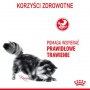 Royal Canin Digestive Care karma sucha dla kotów dorosłych, wspomagająca przebieg trawienia 10kg - 4