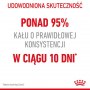 Royal Canin Digestive Care karma sucha dla kotów dorosłych, wspomagająca przebieg trawienia 10kg - 3