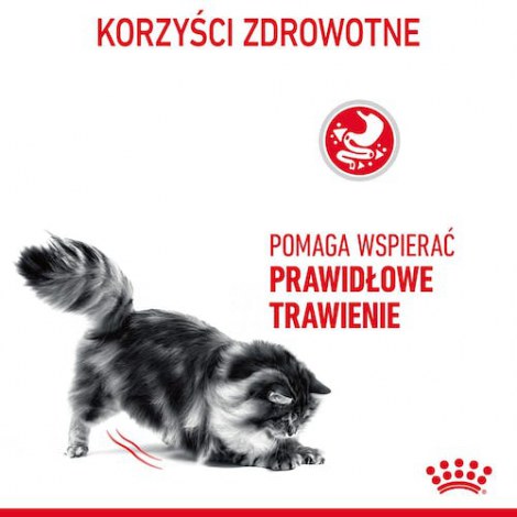 Royal Canin Digestive Care karma sucha dla kotów dorosłych, wspomagająca przebieg trawienia 400g - 3