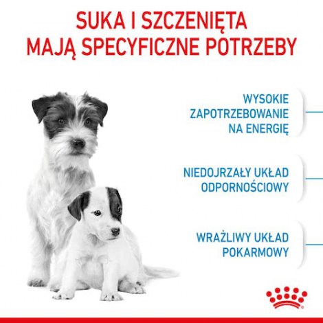 Royal Canin Mini Starter Mother&Babydog karma sucha dla szczeniąt do 2 miesiąca i suk karmiących ras małych 1kg - 2