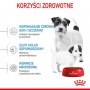 Royal Canin Mini Starter Mother&Babydog karma sucha dla szczeniąt do 2 miesiąca i suk karmiących ras małych 1kg - 4