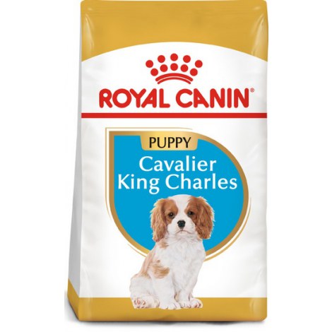 Royal Canin Cavalier King Charles Puppy karma sucha dla szczeniąt do 10 miesiąca, rasy cavalier king charles 1,5kg - 2