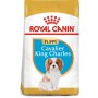 Royal Canin Cavalier King Charles Puppy karma sucha dla szczeniąt do 10 miesiąca, rasy cavalier king charles 1,5kg - 3