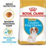 Royal Canin Cavalier King Charles Puppy karma sucha dla szczeniąt do 10 miesiąca, rasy cavalier king charles 1,5kg - 2