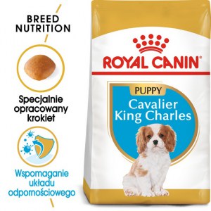 Royal Canin Cavalier King Charles Puppy karma sucha dla szczeniąt do 10 miesiąca, rasy cavalier king charles 1,5kg