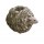 KERBL EKO Domek dla gryzoni z trawy suszonej 10,5x10,5x10,5cm [84177]