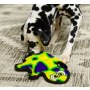 Outward Hound Invincibles Gecko green 2 piszczałki [32070] - 5