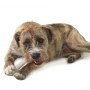 Petstages DeerHorn small PS668 - 6
