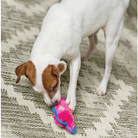 Outward Hound Invincibles Minis Pig [32013] - 5