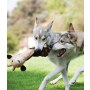 Petstages Cuddle Tugs Żyrafa 38cm PS69592 - 7