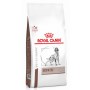 Royal Canin Veterinary Diet Canine Hepatic 6kg - 2