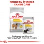 Royal Canin Medium Dermacomfort karma sucha dla psów dorosłych, ras średnich o wrażliwej skórze 10kg - 7