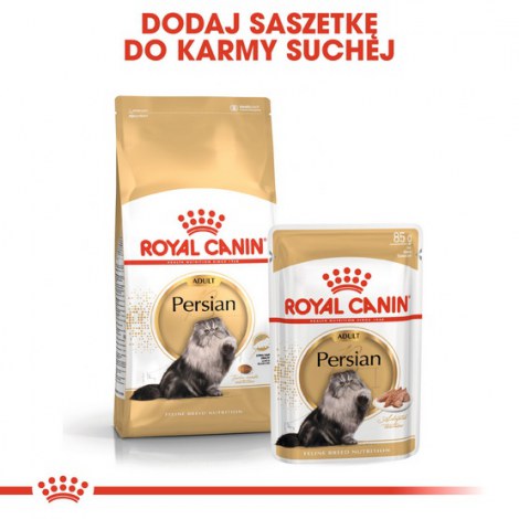 Royal Canin Persian Adult karma sucha dla kotów dorosłych rasy perskiej 2kg - 5