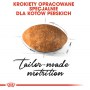 Royal Canin Persian Adult karma sucha dla kotów dorosłych rasy perskiej 2kg - 4