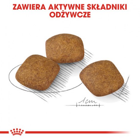 Royal Canin Medium Relax Care karma sucha dla psów dorosłych, ras średnich, narażonych na działanie stresu 1kg - 4