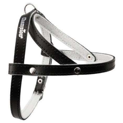Champion Szelki 40 czarne [SD]