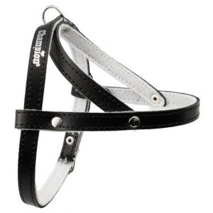 Champion Szelki 40 czarne [SD]