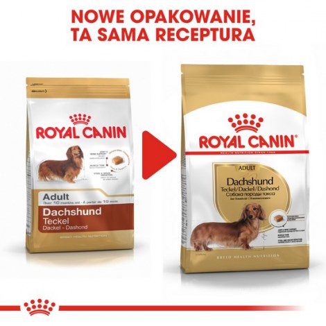 Royal Canin Dachshund Adult karma sucha dla psów dorosłych rasy jamnik 7,5kg - 4
