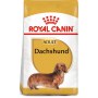 Royal Canin Dachshund Adult karma sucha dla psów dorosłych rasy jamnik 7,5kg - 3