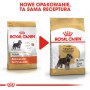 Royal Canin Miniature Schnauzer Adult karma sucha dla psów dorosłych rasy schnauzer miniaturowy 7,5kg - 4