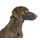 KERBL Kaganiec dla psa Nylon, 18-24x8,5 cm [82146]