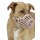 KERBL Kaganiec dla psa z tworzywa sztucznego 35x8,5cm [81016]