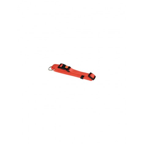 KERBL Obroża dla psa Miami 20-35cm x 10mm, pomarańczowa [82061]