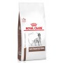 Royal Canin Veterinary Diet Canine Gastrointestinal 2kg - 2
