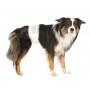 TRIXIE Pieluchy dla psów , M–L: 46–60 cm, 12 szt/opak. [TX-23642] - 3