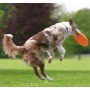 Trixie Rzutka dla psa Dog Activity 19cm [33561] - 4