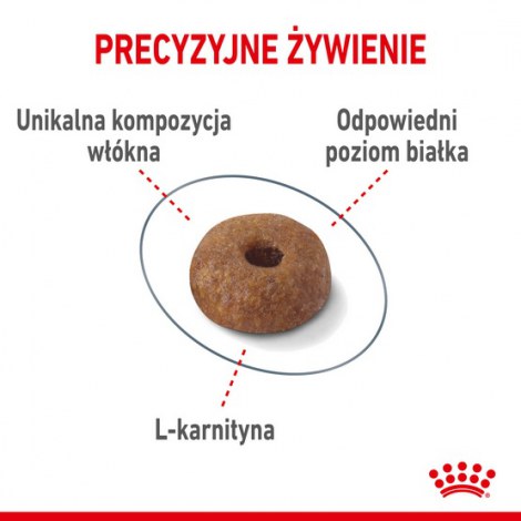 Royal Canin Light Weight Care karma sucha dla kotów dorosłych, utrzymanie prawidłowej masy ciała 10kg - 5