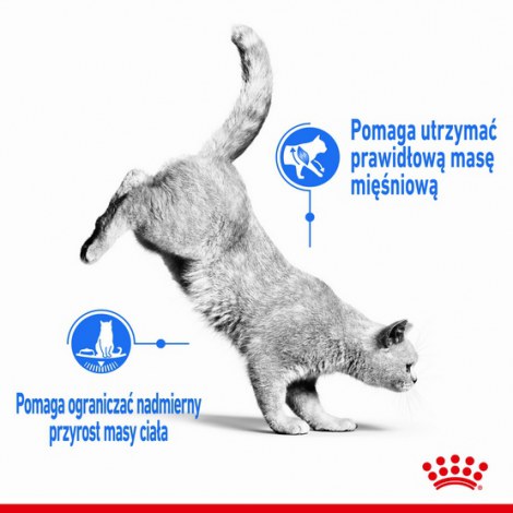 Royal Canin Light Weight Care karma sucha dla kotów dorosłych, utrzymanie prawidłowej masy ciała 10kg - 3